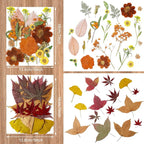 Nuanchu Fall Pressed Flowers Bulk Dried Flower - Image 5