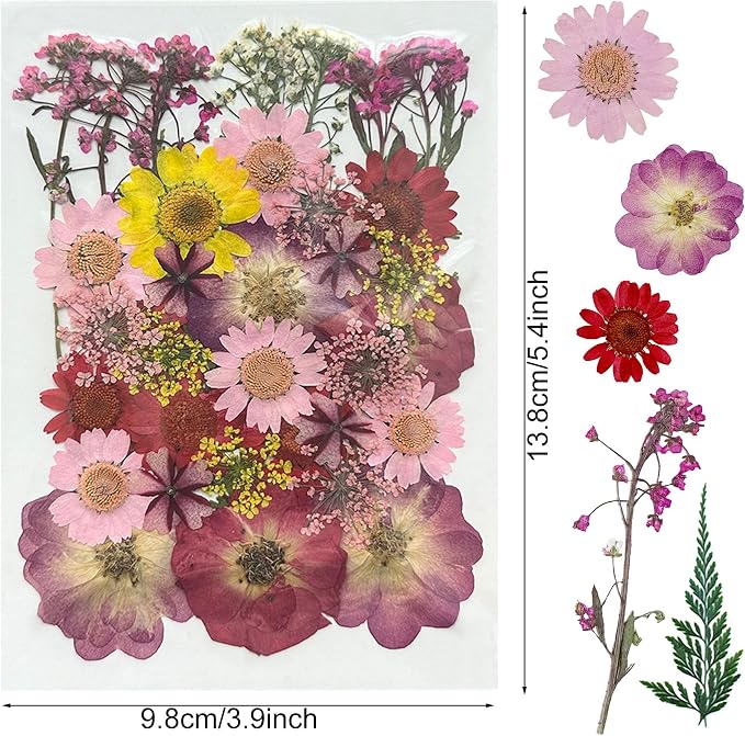 Woohome 160PCS Real Pressed Flowers, Dried Pressed Flowers Colorful Real - Image 5