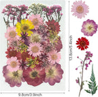 Woohome 160PCS Real Pressed Flowers, Dried Pressed Flowers Colorful Real - Image 5