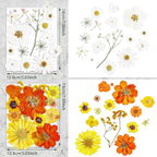 Nuanchu Dried Flower for Crafts Resin Pressed Flowers Bulk Real Dried - Image 3