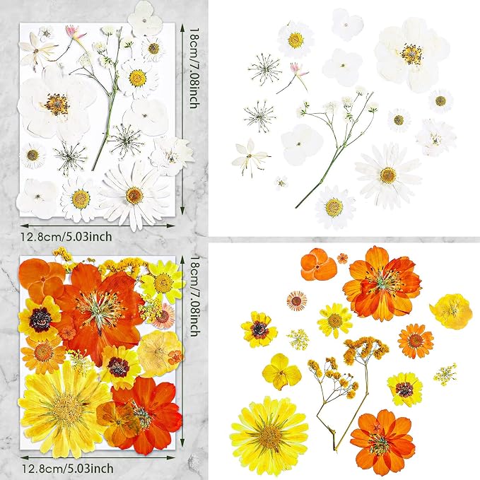 Nuanchu Dried Flower for Crafts Resin Pressed Flowers Bulk Real Dried - Image 3