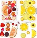 70PCS+ Nature Dried Pressed Fruits Flowers - Image 4