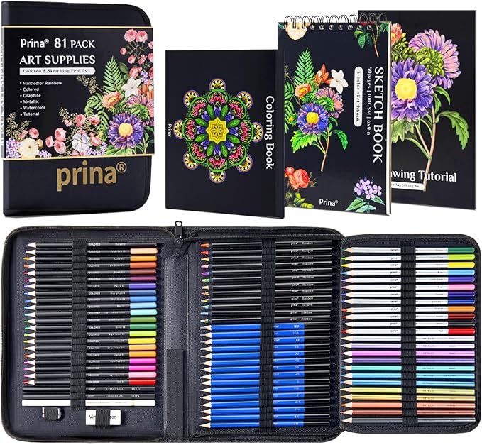 PRINA 81 Drawing Set Sketching Kit, Pro Sketch Pencils Art Supplies by PRINA