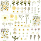 110Pcs Dried Flowers for Crafts, Real Pressed Flowers Dry Leaves Bulk Natural - Image 3