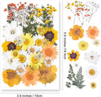 YouthBro Dried Pressed Flowers for Resin Molds, Real Natural Pressed Flowers - Image 2