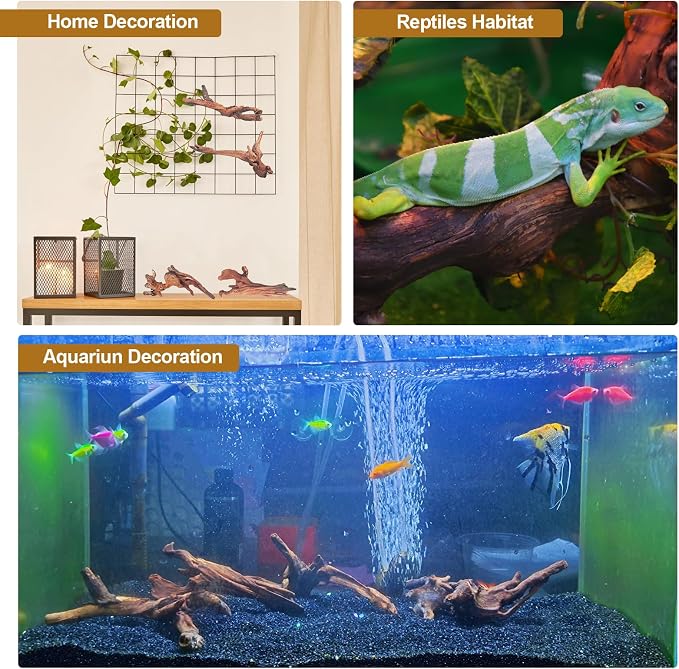 Natural Driftwood Decor for Aquarium Decorations Reptile Tank Accessories - Image 3