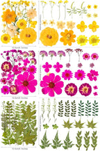 320PCS Dried Pressed Flowers Bulk - Image 3