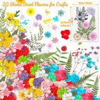 200 Pcs Dried Pressed Flowers for Crafts, 20 Sheets Real Dry Florals and Leaves - Image 5