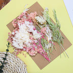 Real Dried Flowers, Natural Dry Flowers Mixed Natural Pressed Flowers Flores - Image 7