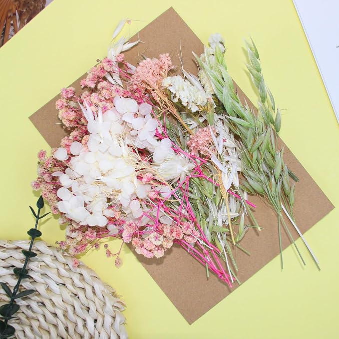 Real Dried Flowers, Natural Dry Flowers Mixed Natural Pressed Flowers Flores - Image 7