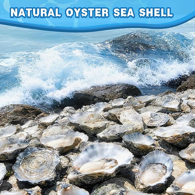 30Pcs Oyster Shells for Crafts 2"- 3" Natural Oyster Shells for DIY Crafting - Image 6