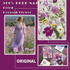 MIKIYA 54Pcs Purple Pressed Dried Flowers - Image 2