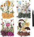 Nuanchu Dried Pressed Flowers for Resin Molds Dried Mushrooms Crafts Fake by Nuanchu