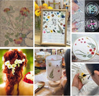 80PCS Multicolor Pressed Dried Flowers Dry Leaves | - Image 5