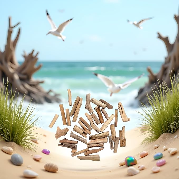20 Pcs Natural Driftwood Pieces Branch Slices Craft Sticks Beach Decor - Image 5