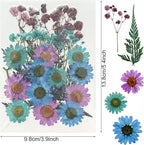 Woohome 110PCS Real Pressed Flowers, Dried Pressed Flowers Colorful Real - Image 4