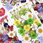 84 Pcs Green Dried Pressed Flowers Real Natural Leave - Image 3
