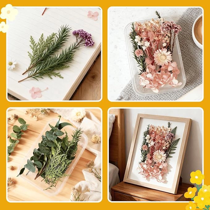 2PCS Dried Flowers Kit, Natural Dried Flowers Kit - Image 5