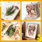 2PCS Dried Flowers Kit, Natural Dried Flowers Kit - Image 5