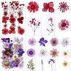 BIHRTC 100pcs Blue Dried Flowers - Image 2