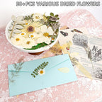 50Pcs Dried Pressed Flowers Real Pressed Flowers Natural Dry Leaves Bulk Mixed - Image 4