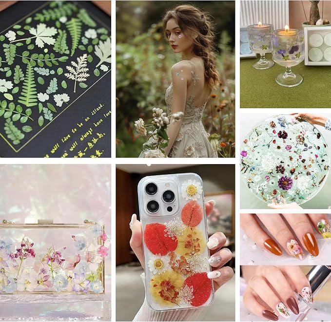 330PCS Natural Color Pressed Dried Flowers - Image 7