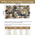 FANTIAN 10 lbs River Rocks, 1-2 Inch Natural Pebbles - Image 4