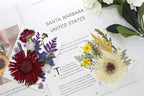 17 Types 30PCS Real Dried Pressed Flowers Bulk Dried Flower - Image 5