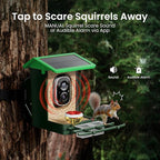 Bird Feeder with Camera Solar Powered 2K HD Video, 000+ Species AI Recognition - Image 7