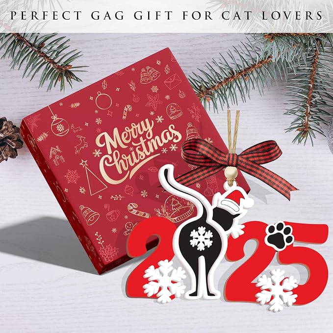God Say You are Christian Christmas Ornament 2025, God Says I am 2D Flat - Image 3