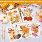 Dried Pressed Flowers for Resin, Real Pressed Flowers Dry Leaves Bulk Natural - Image 6