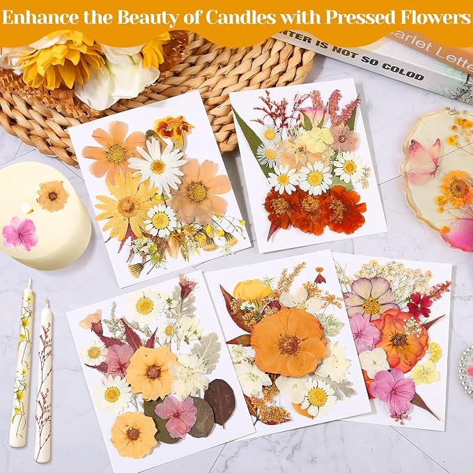 Dried Pressed Flowers for Resin, Real Pressed Flowers Dry Leaves Bulk Natural - Image 6
