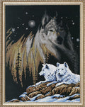Janlynn Counted Cross Stitch Kit, Northern Lights by Janlynn
