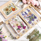 Nuanchu Dried Flower for Crafts Resin Pressed Flowers Bulk Real Dried - Image 2
