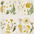 85 Pcs Dried Flowers for Crafts | Real Natural Dried Pressed Flowers in Golden - Image 6
