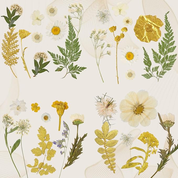 85 Pcs Dried Flowers for Crafts | Real Natural Dried Pressed Flowers in Golden - Image 6