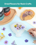 Dried Flowers, Resiners 58Pcs Pressed Flowers - Image 6