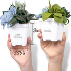 Hapinest DIY Potted Felt Succulents Craft Kit - Image 3