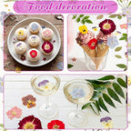96 Pcs Natural Dried Pressed Edible Flowers - Image 6