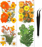Nuanchu Dried Flower for Crafts Resin Pressed Flowers Bulk Real Dried by Nuanchu