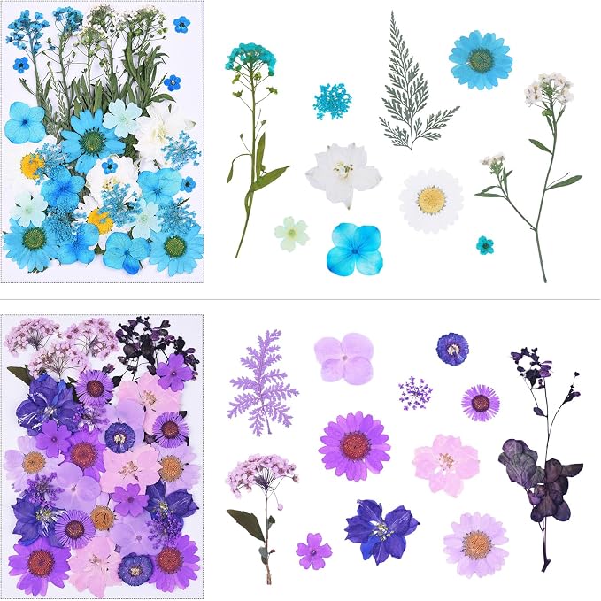 146Pcs Dried Pressed Flowers for Crafts, Xinxinran Dry Flowers Kit for Resin - Image 4
