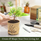 Planter's Choice Bonsai Tree Starter Kit - Image 7