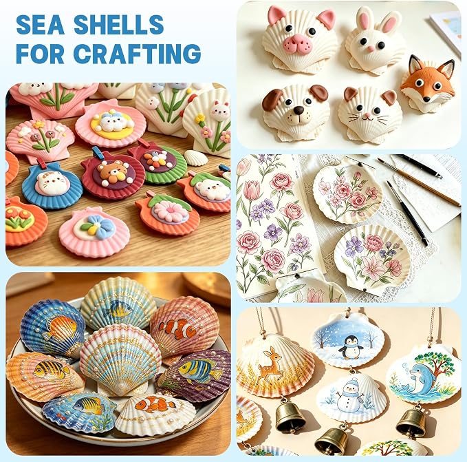 20 PCS Natural Scallop Shells for Crafts, 3-4 inches White Seashells for DIY - Image 4