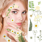 Fabbay 200 Pcs Dried Pressed Flowers Real Dry Natural Flower Leaf Dried Flowers - Image 5