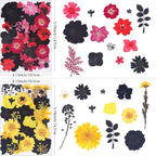 154Pcs Black Dried Pressed Flowers - Image 3
