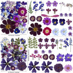 148PCS Purple Hot Pink Dried Pressed Flowers - Image 4