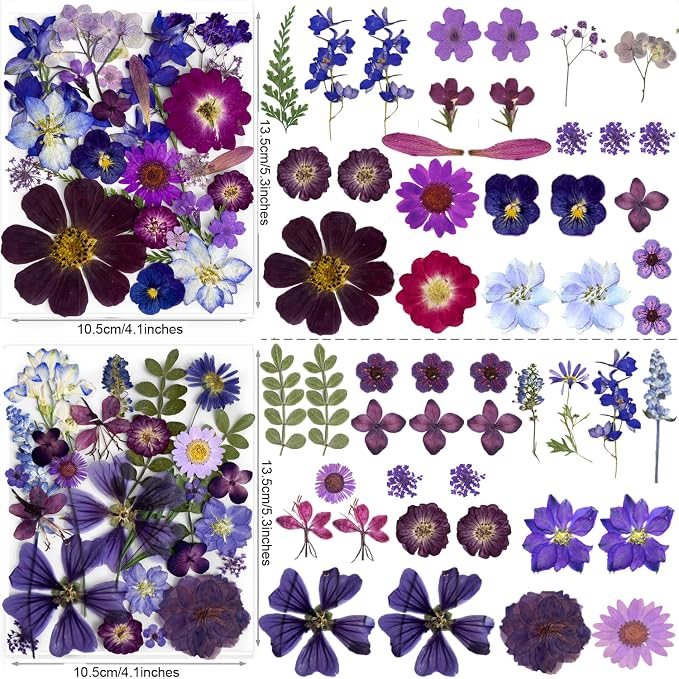 148PCS Purple Hot Pink Dried Pressed Flowers - Image 4