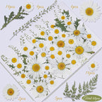 48 Pcs Natural Dried Pressed Daisy Flowers - Image 2
