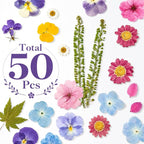 Real Dried Pressed Flowers for Crafts, Scrapbooking, Card Making, DIY - Image 6