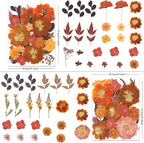 LUXEEASE 100P Autumn Dried Pressed Flowers, Warm Tone | Rust orange burgundy - Image 3
